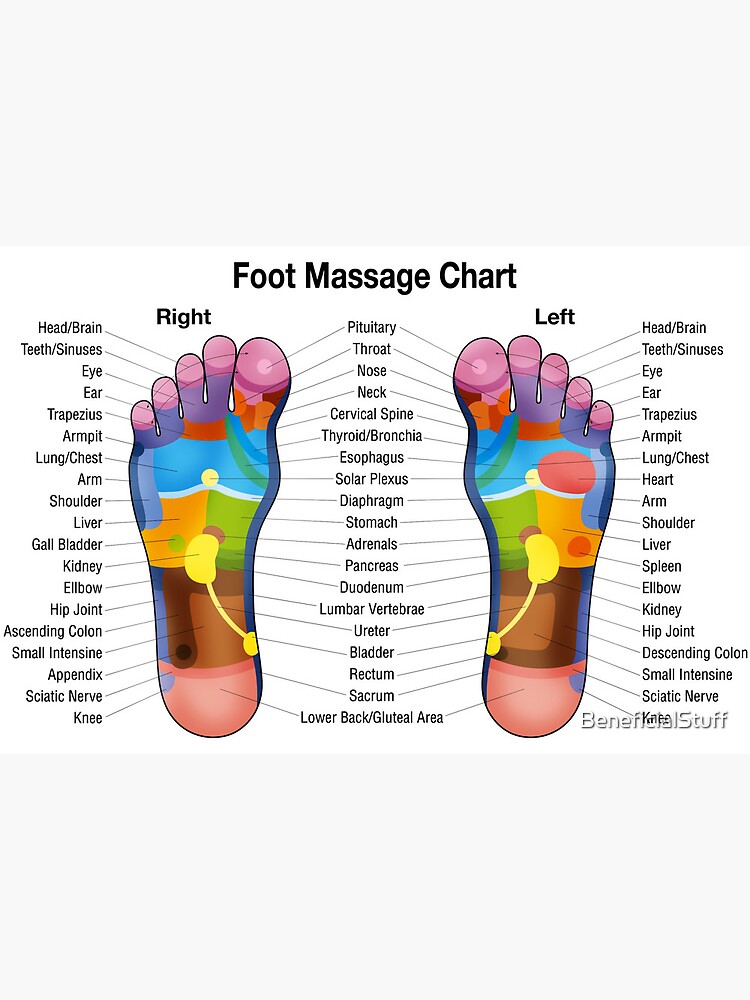 Pie Mapa Podal De Reflexologia Aliviar Dolores Los Puntos De