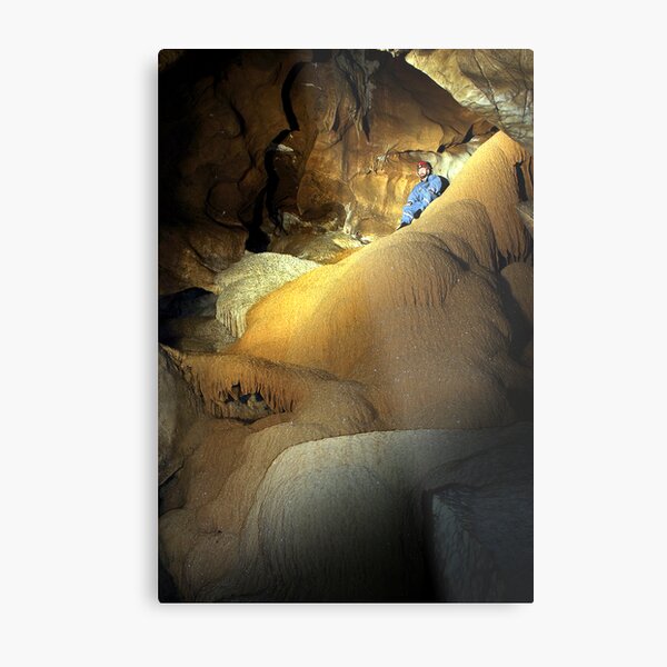 Golden Syrup. Metal Print