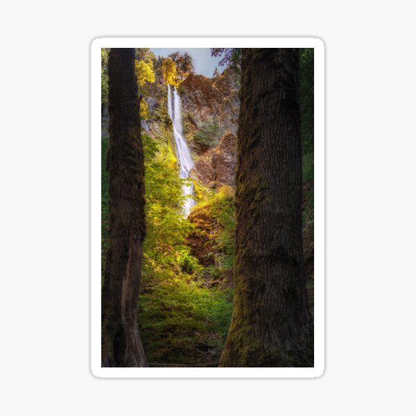 Starvation Creek Falls Sticker