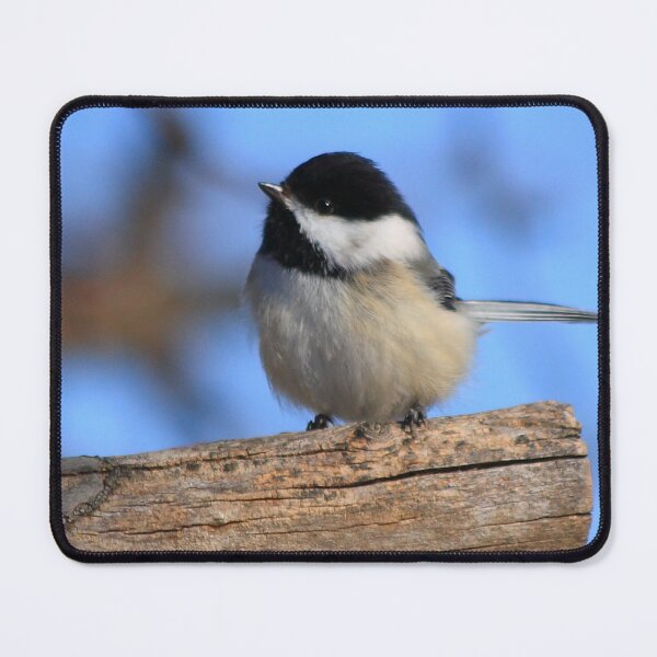 Item preview, Black-Capped Chickedee Inspirational designed and sold by KatsEye.