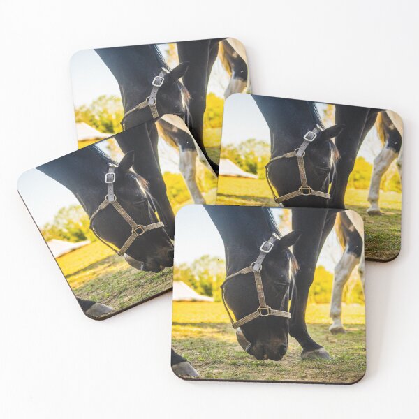 Item preview, I am so cool designed and sold by KensLensDesigns.