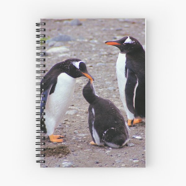 Item preview, Gentoo Penguin Family Feeding Chick designed and sold by Carole-Anne.