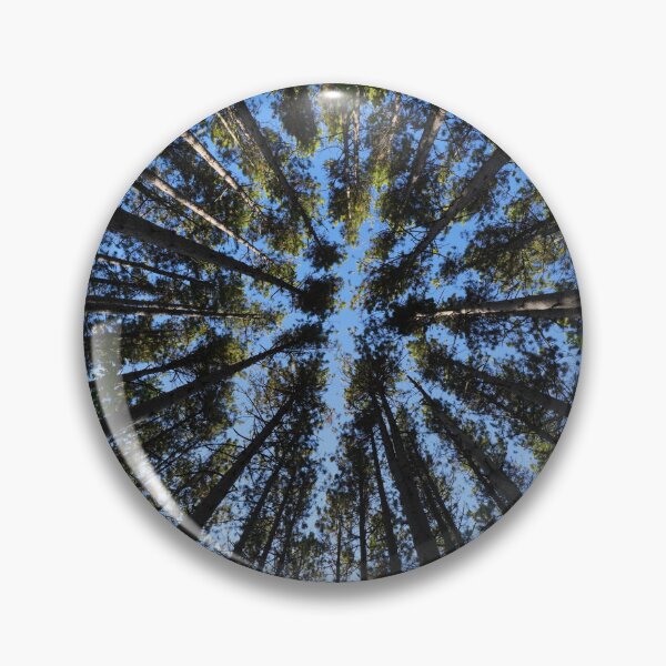 Item preview, Light of the Pines designed and sold by RCNaturephotos.
