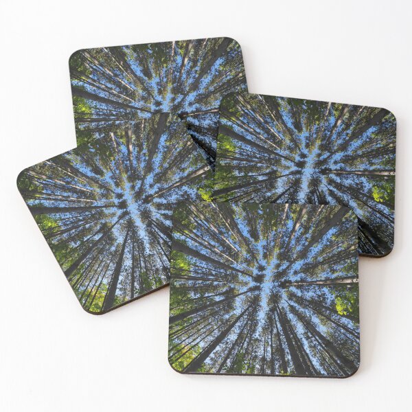 Item preview, Light of the Pines designed and sold by RCNaturephotos.