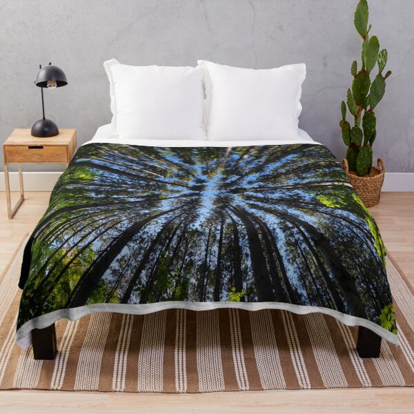 Item preview, Light of the Pines designed and sold by RCNaturephotos.