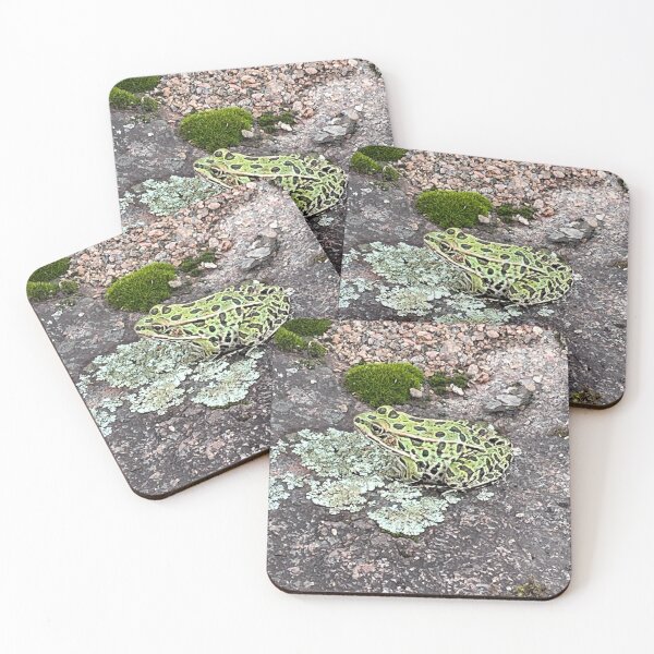 Item preview, Frog Adaptations designed and sold by polishcountess.