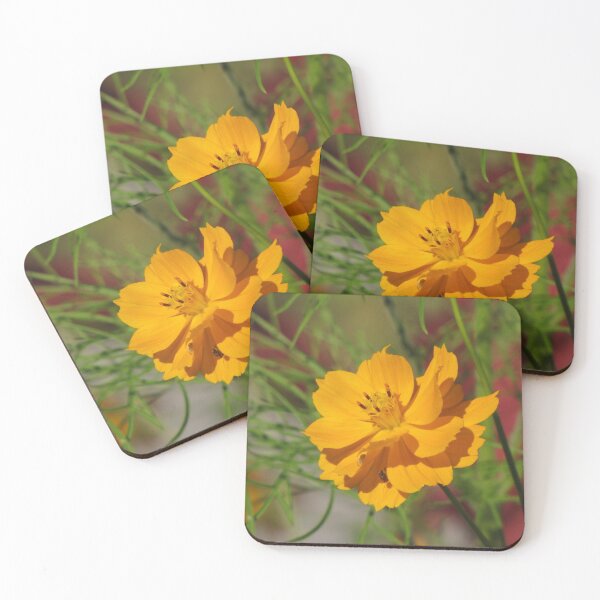 Item preview, Blossom Corner Pt 4 designed and sold by caybeach.