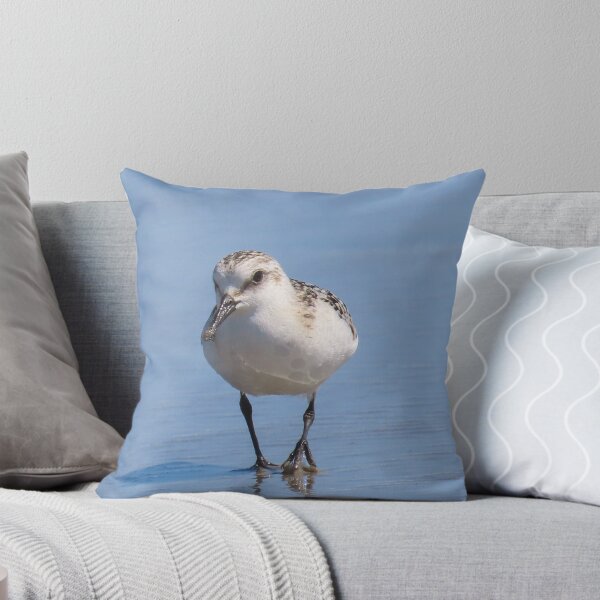 Item preview, Sanderling designed and sold by shotsfromthehip.