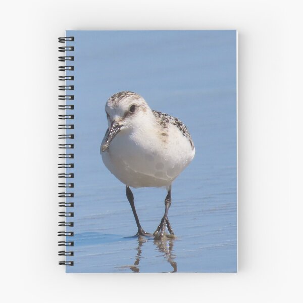 Item preview, Sanderling designed and sold by shotsfromthehip.