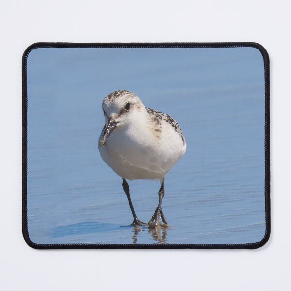 Item preview, Sanderling designed and sold by shotsfromthehip.