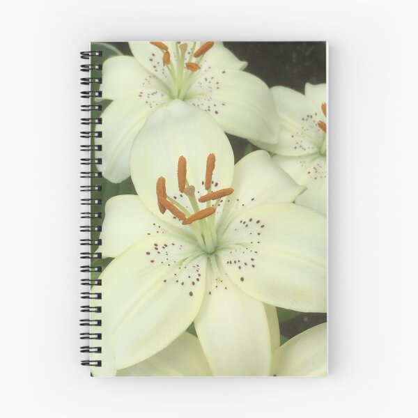 Item preview, Lilies in bloom designed and sold by polishcountess.