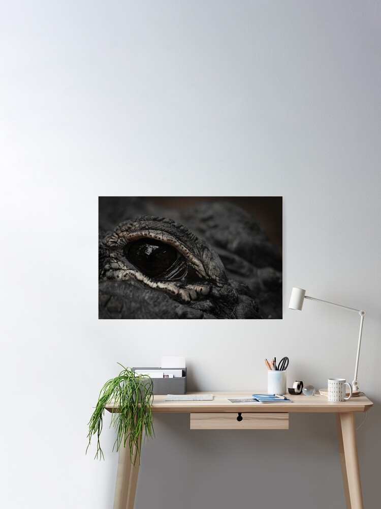 for JarbasVisuals Poster Sale Redbubble by Eye\
