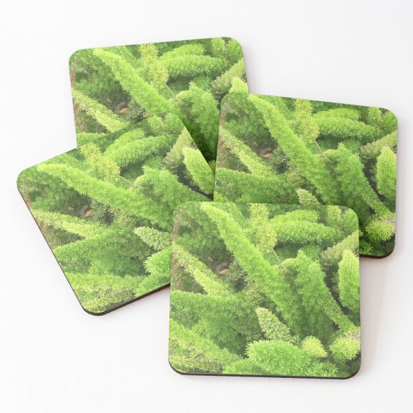 Item preview, Plants in Houston designed and sold by polishcountess.