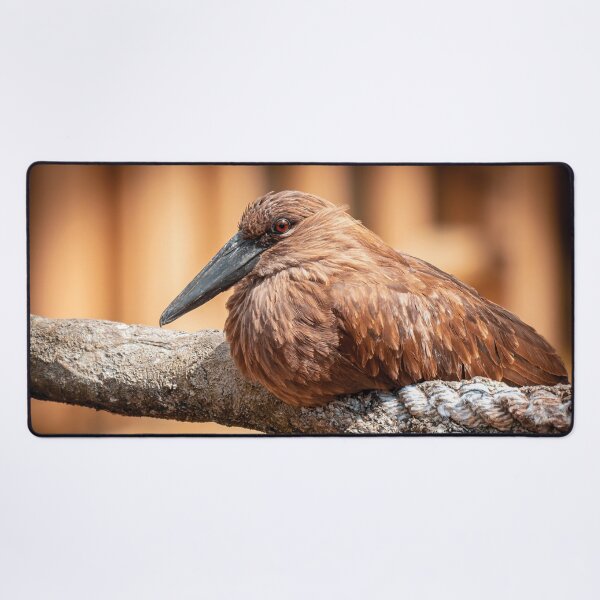 Item preview, Hamerkop designed and sold by JarbasVisuals.
