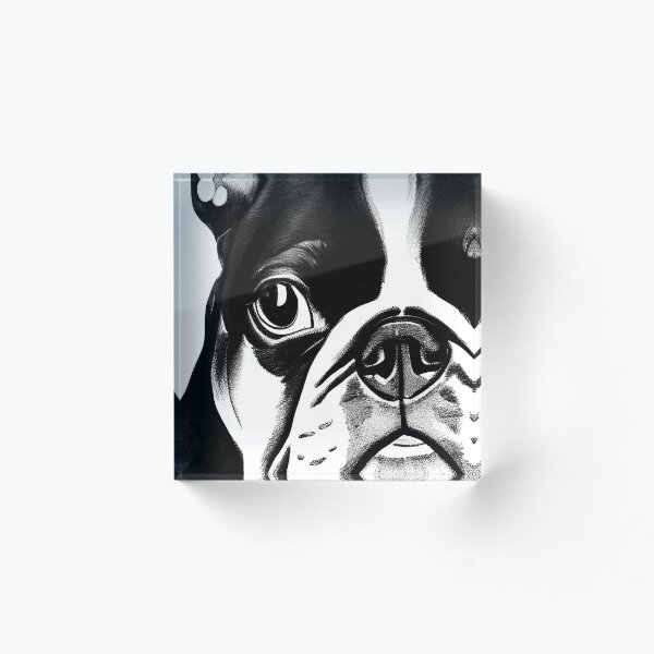 Artikelvorschau, Französische Bulldogge entworfen und verkauft von thumbjoint.