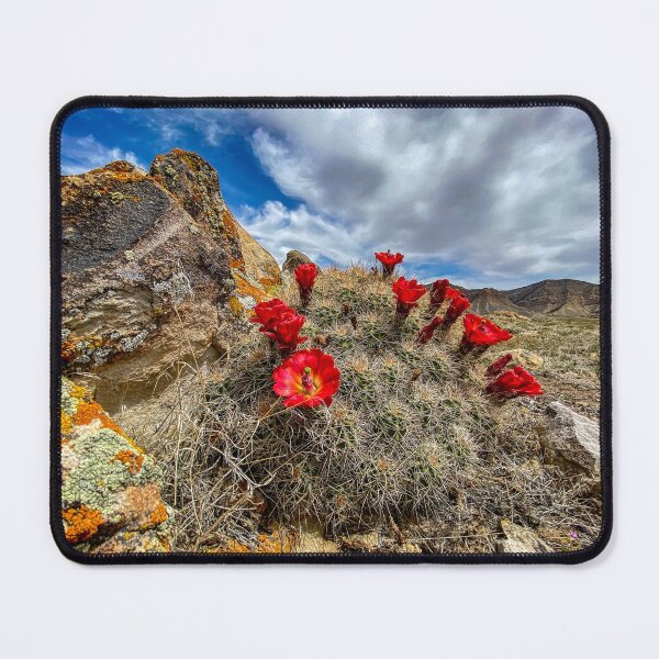 Item preview, Springtime in the Desert designed and sold by The Scenic Route.