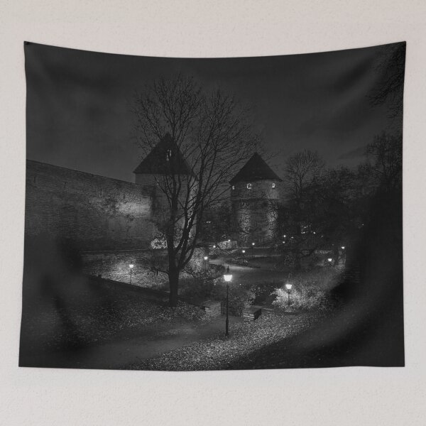 Item preview, The Park of the Towers bw designed and sold by Jouko Lehto Photography.