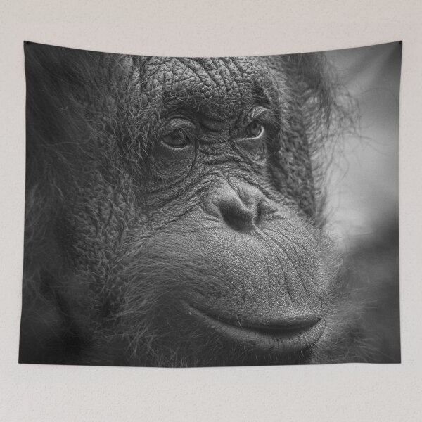 Item preview, Orangutan in Black and White designed and sold by JarbasVisuals.