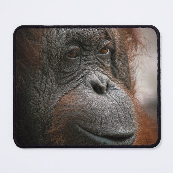 Item preview, Orangutan designed and sold by JarbasVisuals.