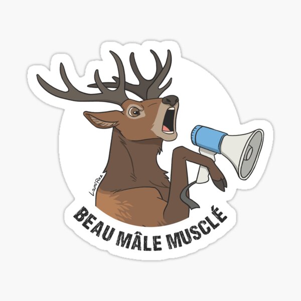 Beau Mâle Musclé - FR - Cerf Élaphe  Sticker