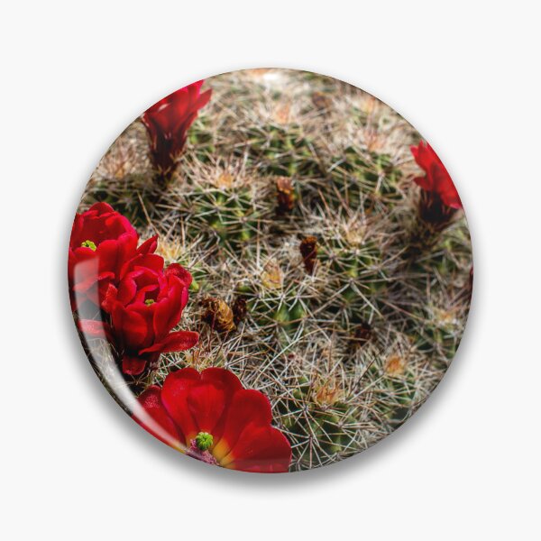 Item preview, Claret-Cup Cacti designed and sold by The Scenic Route.