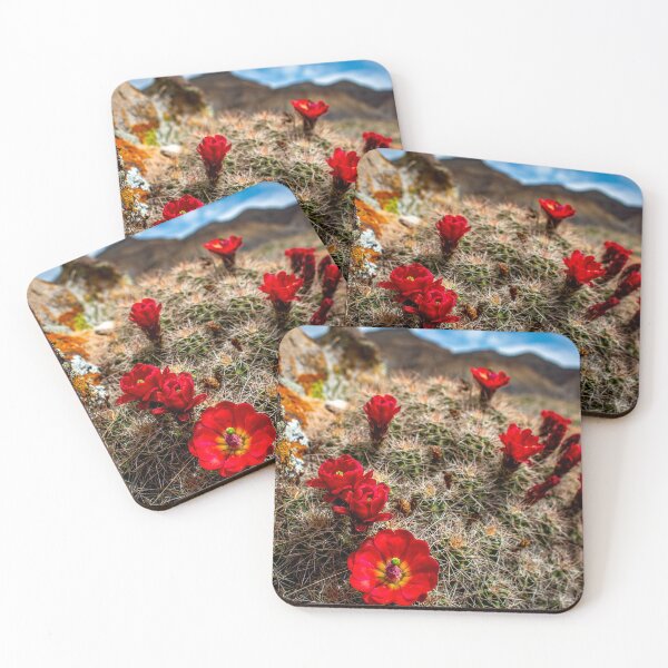 Item preview, Claret-Cup Cacti designed and sold by The Scenic Route.