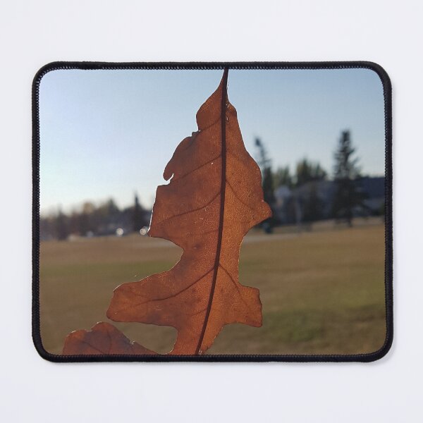 Item preview, City Nature: Fall Leaf Closeup designed and sold by TaraTs.