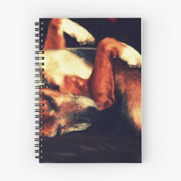 Item preview, old dog sleeping designed and sold by Francespoppy.