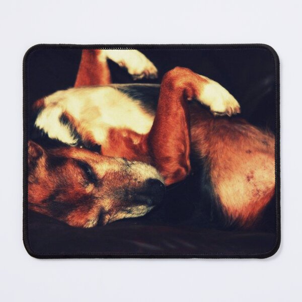 Item preview, old dog sleeping designed and sold by Francespoppy.