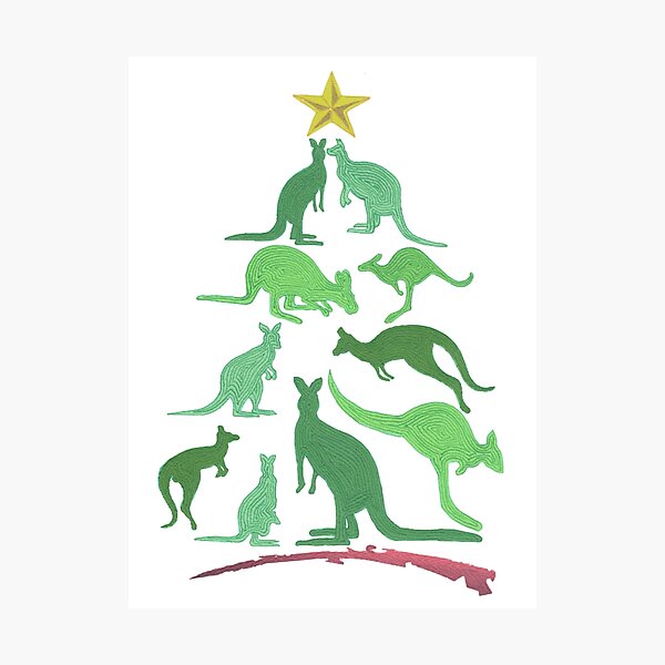 Kangaroo Christmas Photographic Print