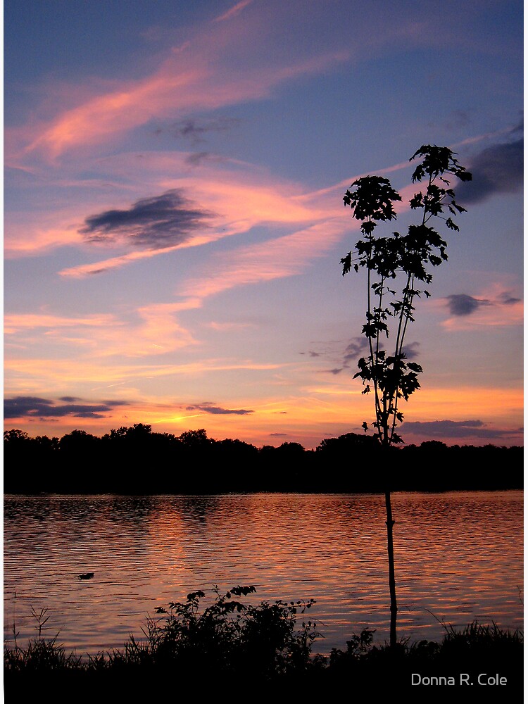 Sunset over the Rock River by alwaysdrc