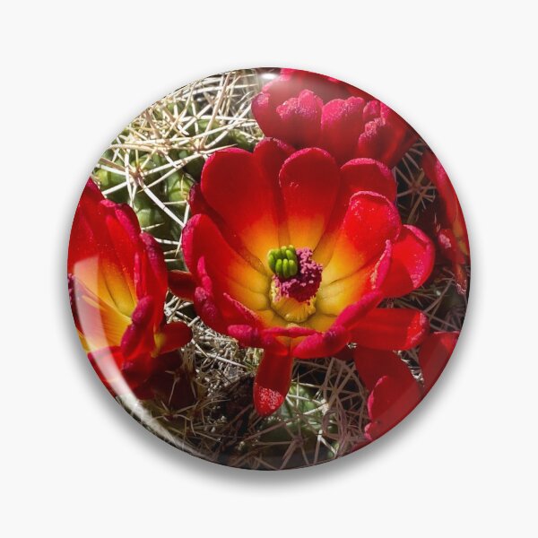 Item preview, Desert Blooms designed and sold by The Scenic Route.