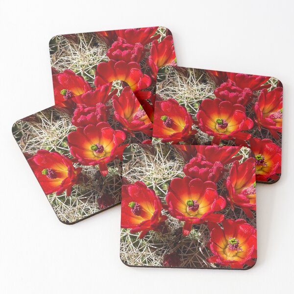 Item preview, Desert Blooms designed and sold by The Scenic Route.