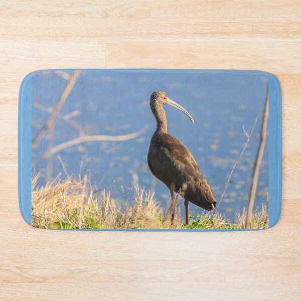 Artikelvorschau, Weißgesichtiger Ibis entworfen und verkauft von jvnimages.