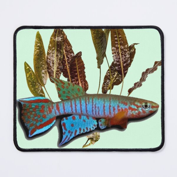 Item preview, Bualanum and Cryptocoryne affinis designed and sold by killies.
