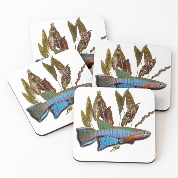 Item preview, Bualanum and Cryptocoryne affinis designed and sold by killies.