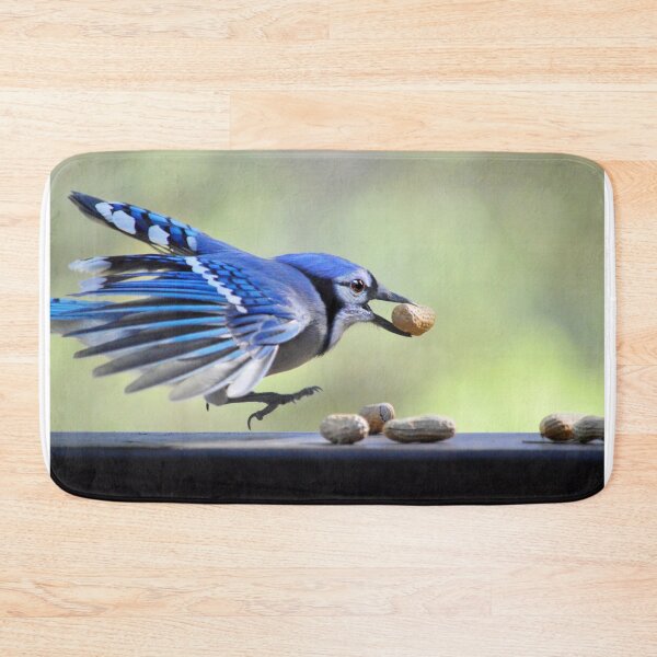 Item preview, Bluejay Feathers designed and sold by Laurie Minor.