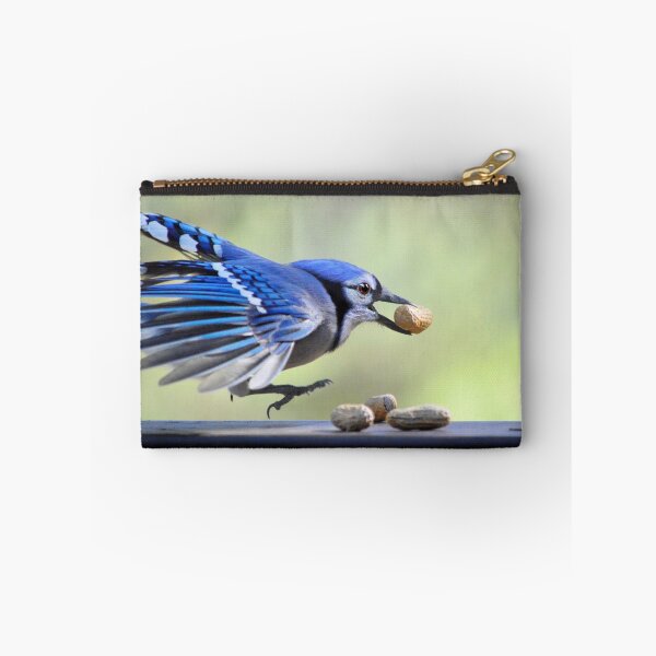 Item preview, Bluejay Feathers designed and sold by Laurie Minor.