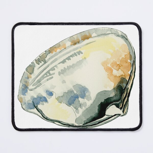 Item preview, Shell 3 designed and sold by Arunima Orr.