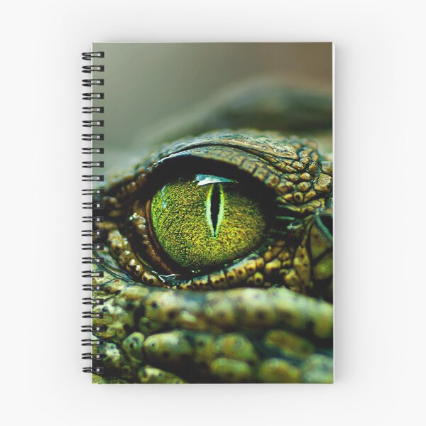 Item preview, Eye of the Crocodile [iPad / Phone cases / Prints / Decor] designed and sold by Didi Bingham.