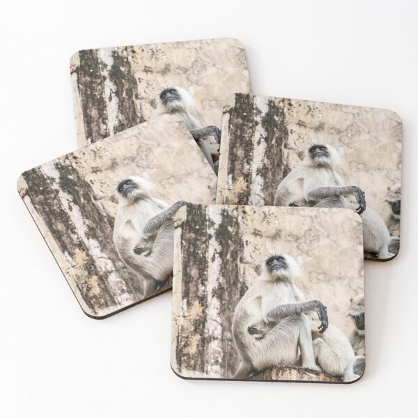 Item preview, Rajasthani monkeys. India. designed and sold by Lie Yim.