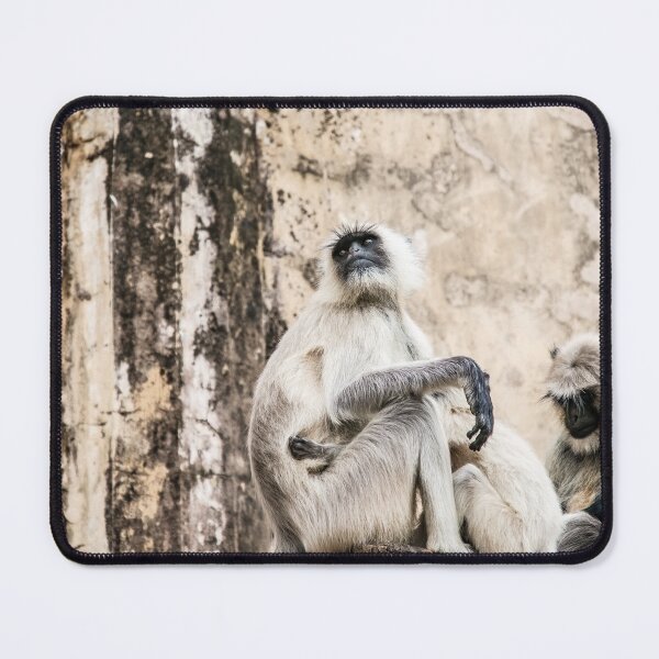 Item preview, Rajasthani monkeys. India. designed and sold by Lie Yim.