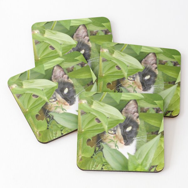 Item preview, Calico Cat in the Zinnias designed and sold by Frankie Cat Photography.
