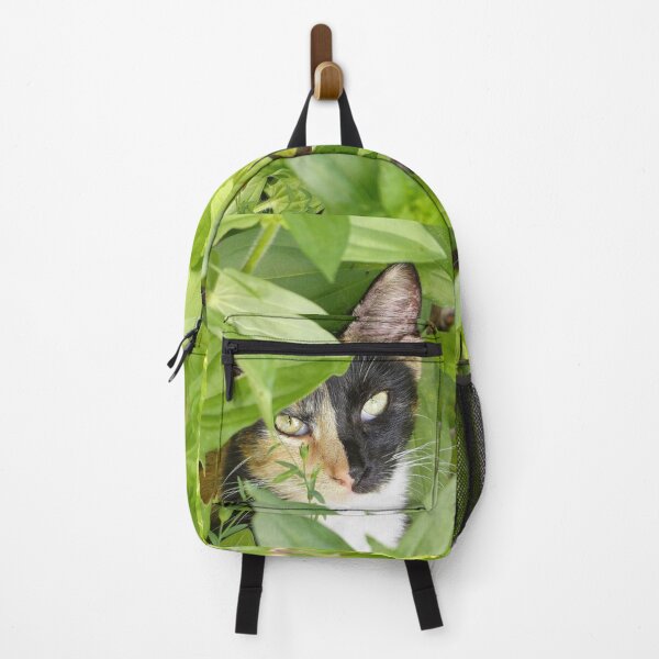 Item preview, Calico Cat in the Zinnias designed and sold by Frankie Cat Photography.