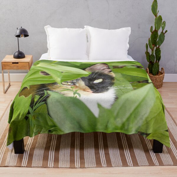 Item preview, Calico Cat in the Zinnias designed and sold by Frankie Cat Photography.