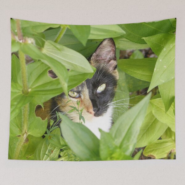 Item preview, Calico Cat in the Zinnias designed and sold by Frankie Cat Photography.
