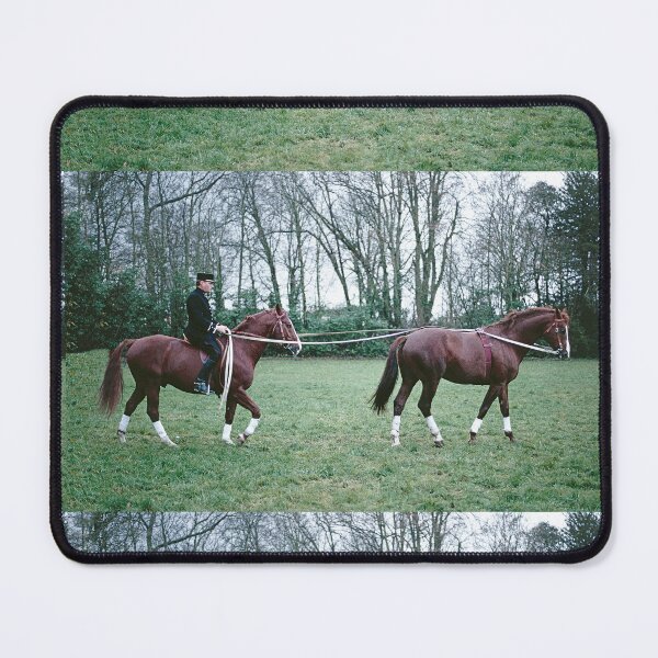 Item preview, r442/ Finition 2022: The Happy Days of Haras de Saintes - Les jours Heureux du Haras de Saintes " 1846 - 2018 (sad) " Okaio Créations Olavia-Olao designed and sold by o.okaïo.