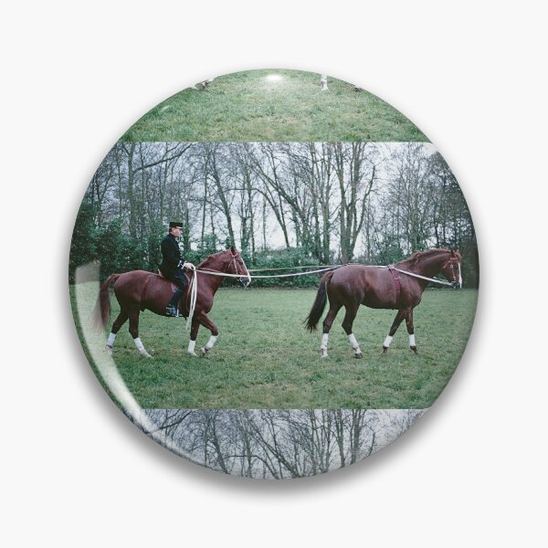 Artikelvorschau, r442/ Finition 2022: The Happy Days of Haras de Saintes - Les jours Heureux du Haras de Saintes " 1846 - 2018 (sad) " Okaio Créations Olavia-Olao entworfen und verkauft von o.okaïo.