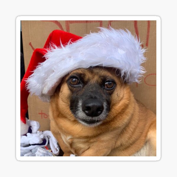 Angela the Hooligan at Christmas Sticker