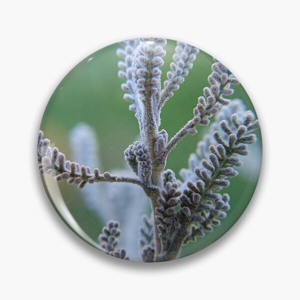 Item preview, Gray plant closeup macro photo for nature lovers designed and sold by CiniArt.
